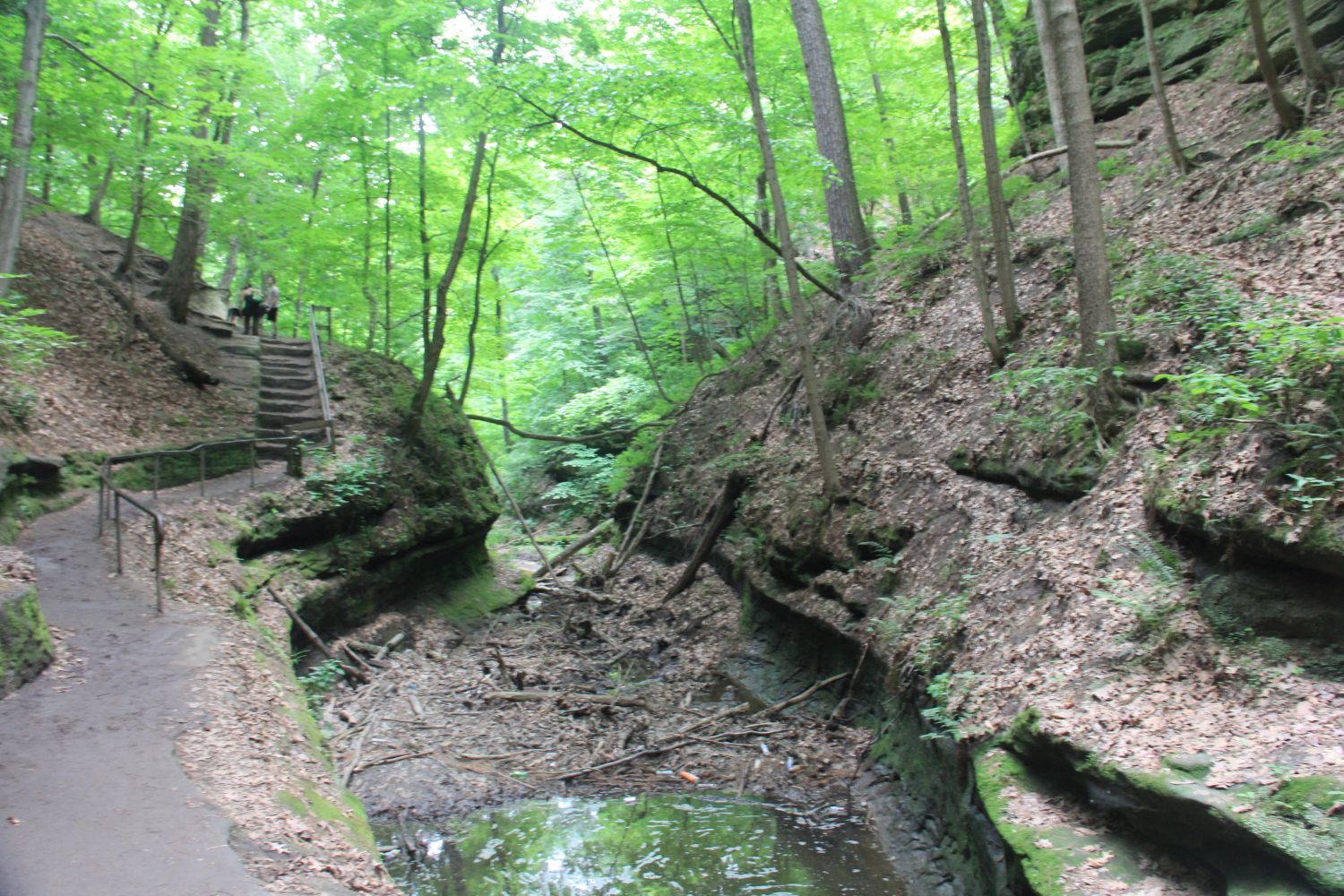 Starved Rock 